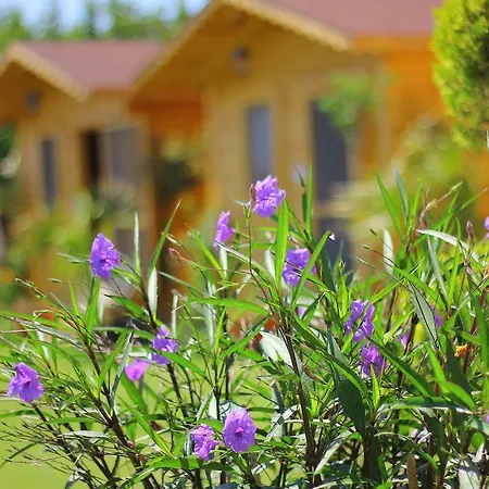 Anemo Hotel Konukevi *