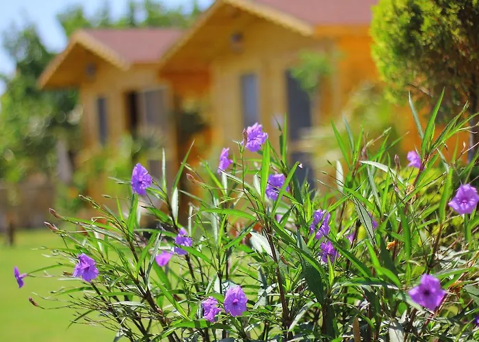 Anemo Hotel Πανσιόν *